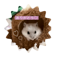 yukari_20211223010753