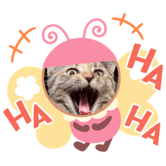hana_20211222190214