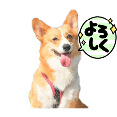 Kaito_20211222194920