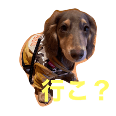 Satoshi_20211222211638