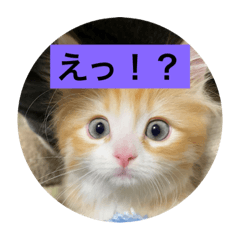 yuka_20211222213529