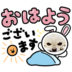 STAMP of my CUTE dog