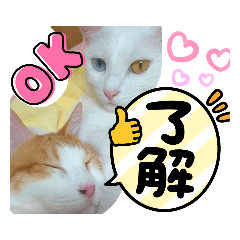 YukiInoue_20211223103221