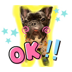 hikari_20211223013542