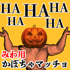 みわ用かぼちゃマッチョ