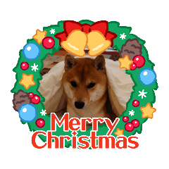 kuu_20211223142051