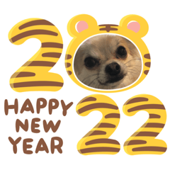 chakooo_20211223145708