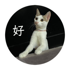 寶貝NiNi小公主