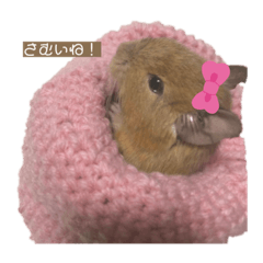 kaori_20211223151301