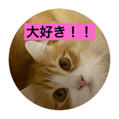 yuka_20211223161530