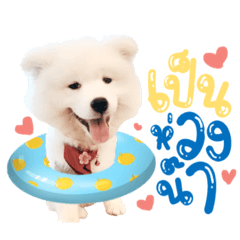 Iamnook_20211222235605