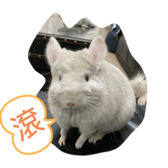 我是小屁Q