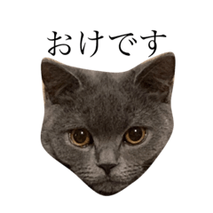 rina_20211223173150 – LINE stickers | LINE STORE