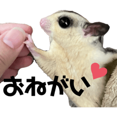 kinaco_20211223205746