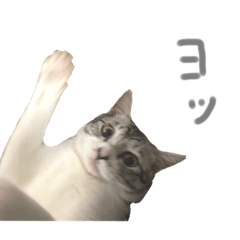 yun_20211223224456