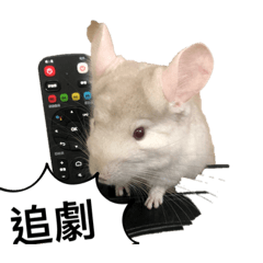 Qq很愛玩