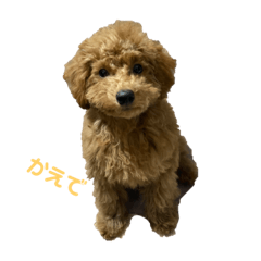 Ayumi_20211224094717