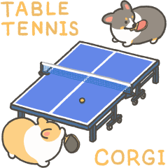 Table tennis corgi animation sticker