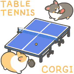 Table tennis corgi animation sticker