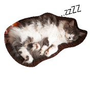 aaaa!