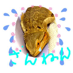 pupupun_20211224123614