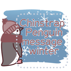 Chinstrap Penguin message winter