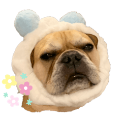 saori_20211224182620