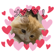 yuka_20211224183026