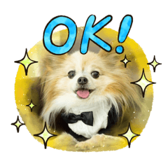 arisa_20211224185127