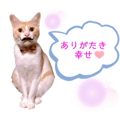 Kaori_20211224185031