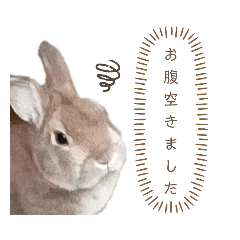 Hana_20211224202112