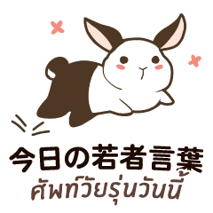 Rabbit : Today's youth word