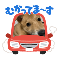 hana_20211224193954