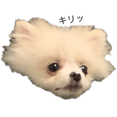 omochi_20211224203538