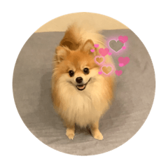 takeru_20211224210208