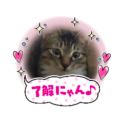 hana_20211224223528