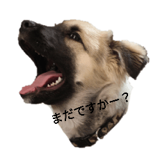 JACK_20211224232314