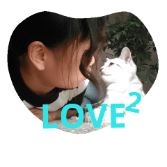 a little cat lalu