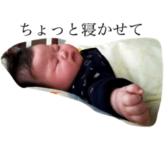 donmi