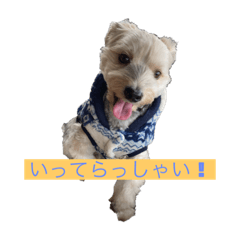 Orange_20211225101557