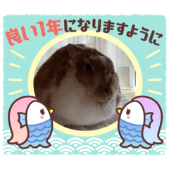 suzu_20211225104143
