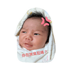 未滿月的紅豆餅妹多種神表情超逗趣的！
