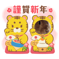 suzu_20211225110001