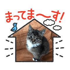 hana_20211225112453