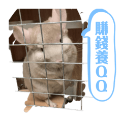 Q仔想媽媽