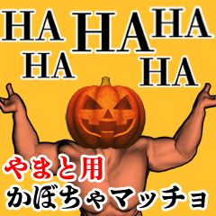 やまと用かぼちゃマッチョ