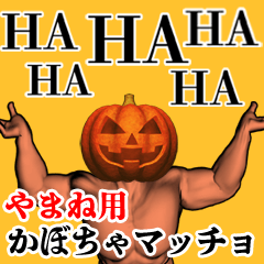 やまね用かぼちゃマッチョ