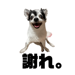 Nanami_20211225012348