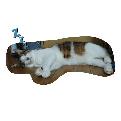 Natsumi_20211225120600