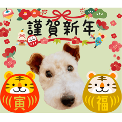 Happy Terrier Tiger Year Sticker